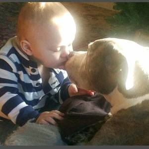 Meet your Posher, Dawn